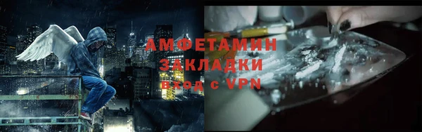 индика Волоколамск