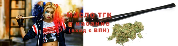индика Волоколамск