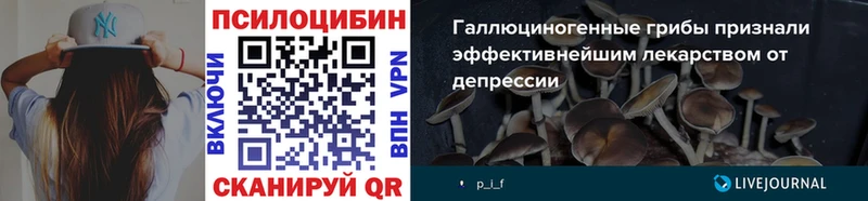 Галлюциногенные грибы Psilocybe  продажа наркотиков  Партизанск 